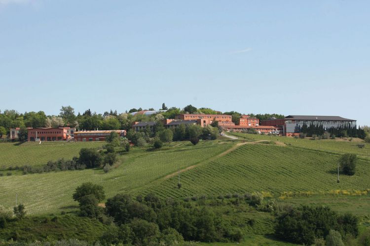 Read more: ECAD Delegation Visits San Patrignano